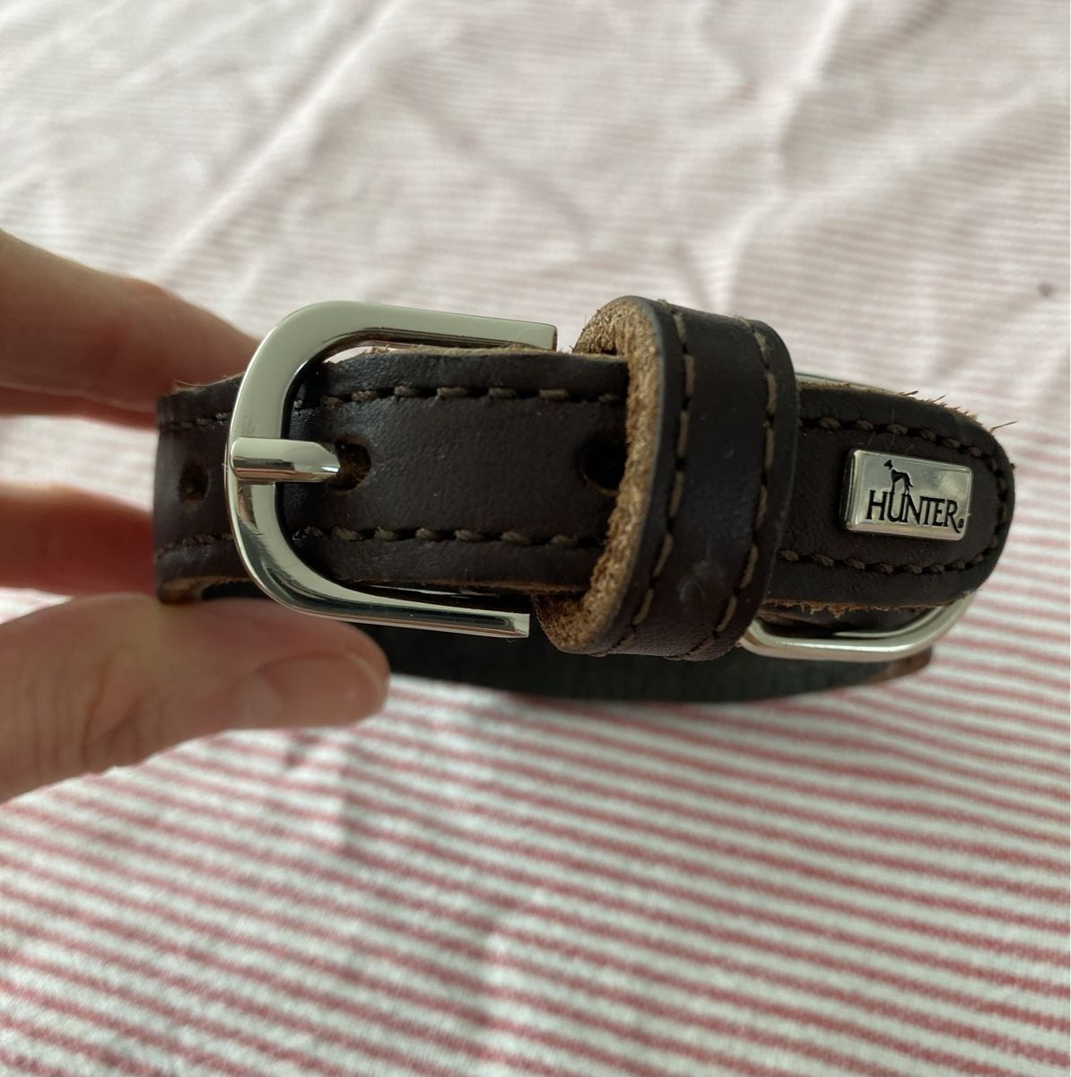 Hunter Leine & Halsband: Hunter Leder Hundehalsband ca 31cm – Gebraucht aus Zürich von Freuerei 3