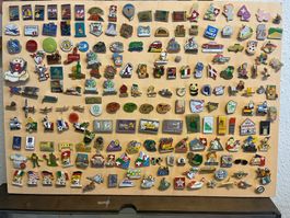 Pin sammlung