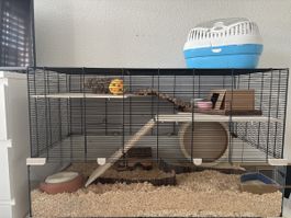 Hamsterkäfig mit viel Zubehör Kleintier