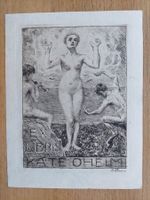 Exlibris Bruno Heroux - Original Radierung