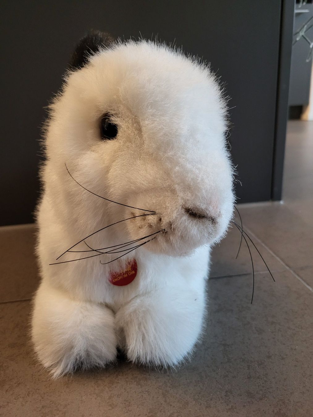 Steiff Spielzeuge: Steiff Hase – Neu (gemäss Beschreibung) aus Zürich von Orchidee 1