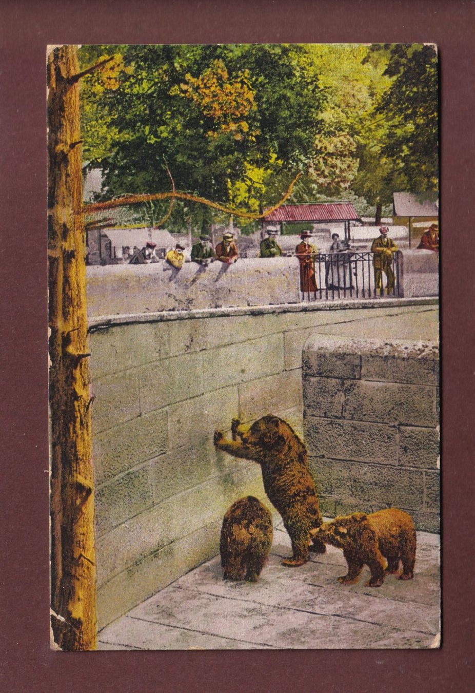 Cartoline postali: BERN - Bärengraben - 1912 // pli d'angle // – Usato da Pully venduto da nicecards-shop