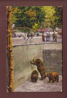 BERN - Bärengraben - 1912 // pli d'angle //