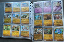 Pokemon Sammelkarten Reisegefährten