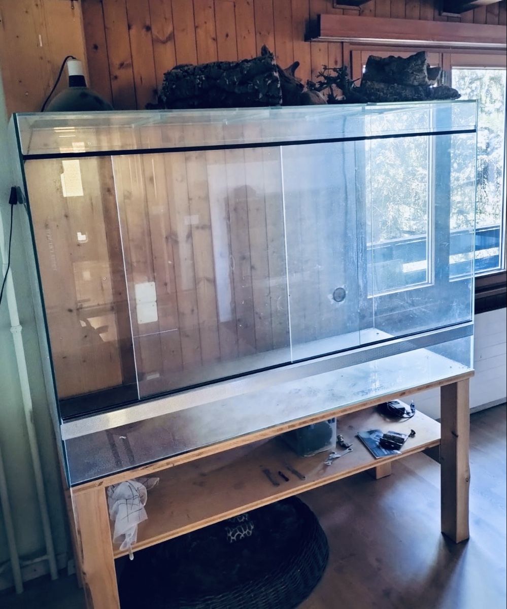 Terrario: Terrarium Spezialanfertigung – Nuovo (secondo la descrizione) da Wallisellen venduto da Mercatura 1