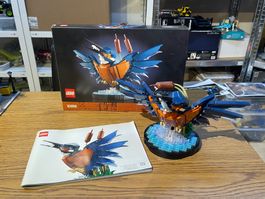 Lego Icons 10331 - Eisvogel / Kingfisher Used