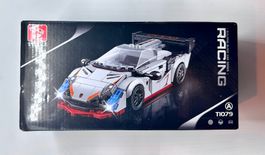🔥Tycole Rennwagen Modell T1079, Neu🔥