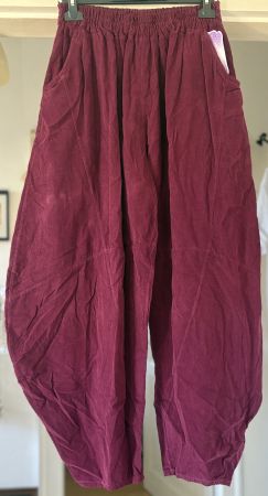 PANTALONS EN FIN VELOURS! M NOUVEAUTÉ 2026/27