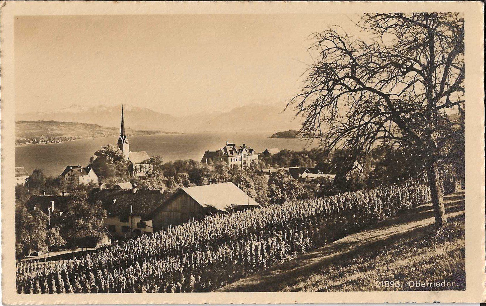 Cartoline postali: Karte Oberrieden 1916 – Usato da Zürich venduto da Philacat11