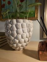 Beau Vase / joli cache-pot