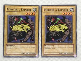 Yu-Gi-Oh! Meister & Experte SDK-G015 Deutsch Common Unlimiti