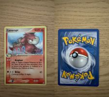 Carte Pokémon Camerupt 36/110