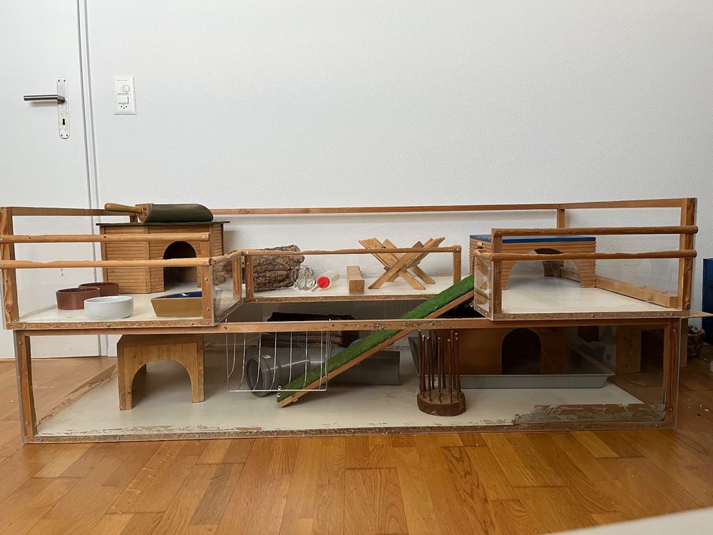 Hamsterkäfig Plattform Mit Leiter - Kletter-Spielzeug Für Nager Aus Sicherem Kunststoff