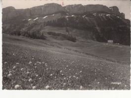 Alpsiegel ca. 1950