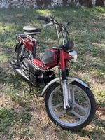 Pony 503 GTX