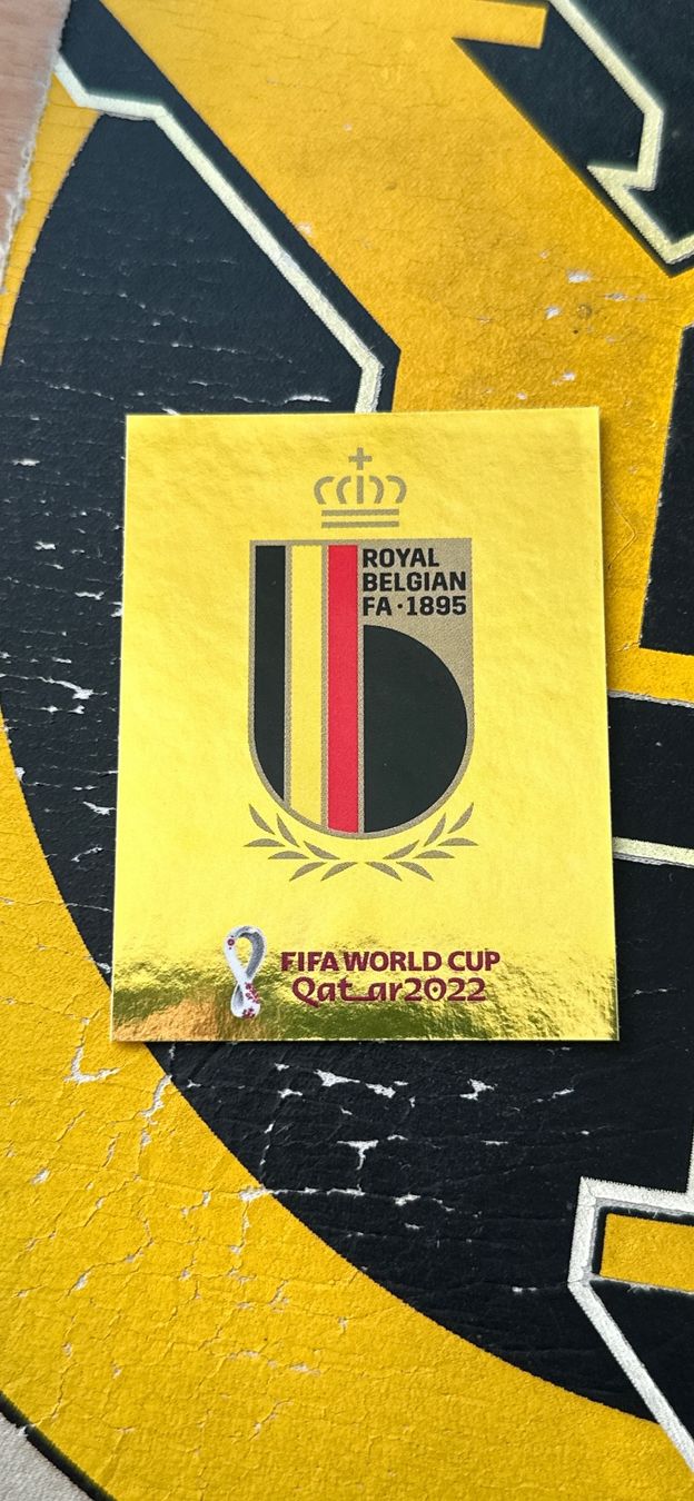 Panini Sammelbilder & Trading cards: Panini Bilder BEL2 FWC 2 WM Pokal – Neu (gemäss Beschreibung) aus Köniz von RetroBoy89 2