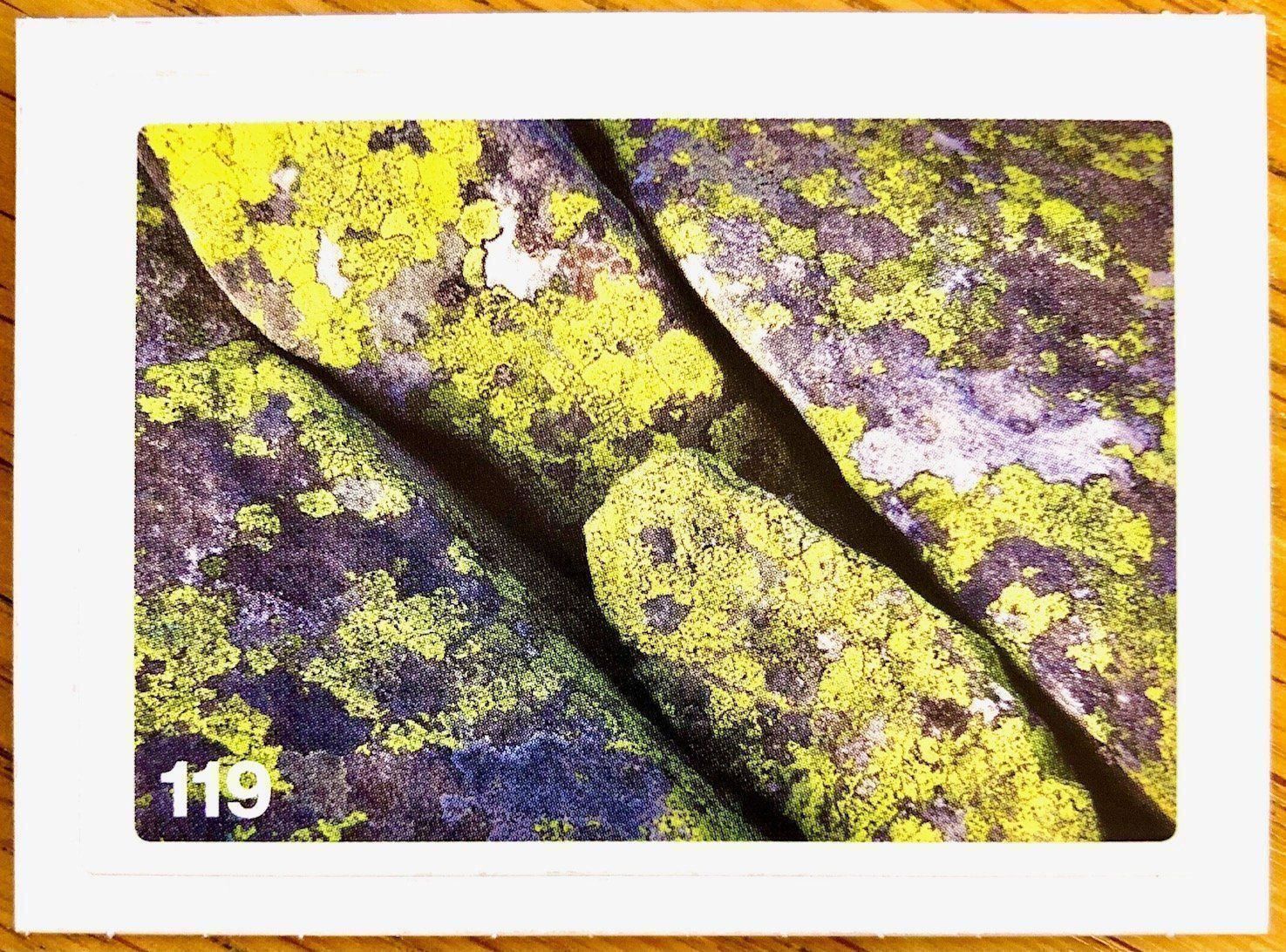 Migros Sammelbilder & Trading cards: Migros Nature Detectives - Bild Nr. 119 – Neu (gemäss Beschreibung) aus Oberrieden von Zimmerberg10