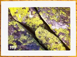 Migros Nature Detectives - Bild Nr. 119