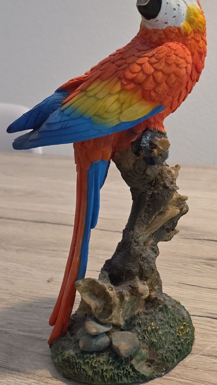 Toutes les décorations: Deko Papagei bunte Figur b. Zoo oder Garten 🦜 – D'occasion à Luzern par Alpix