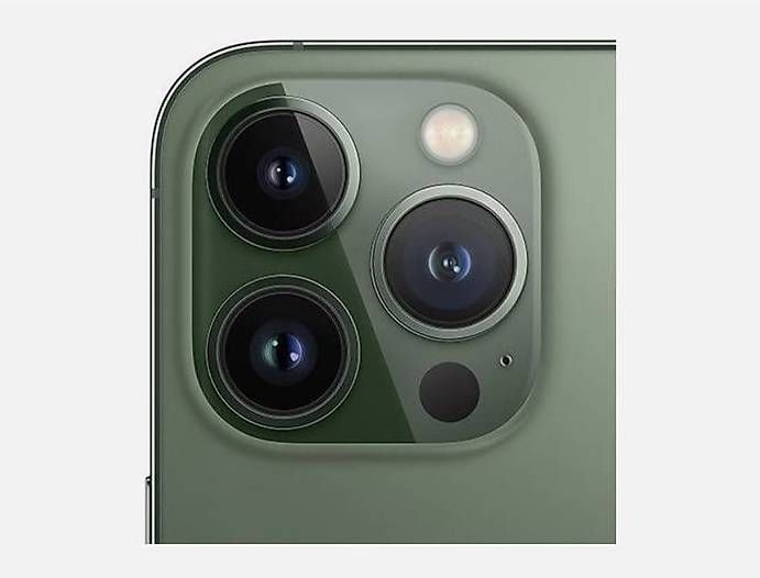 Apple Telefoni cellulari / Smartphones: iPhone 13 Pro Max 128GB Grün mit Garantie – Usato da Schlieren venduto da s-master 2