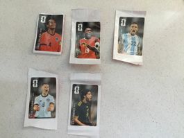 Coca Panini Fifa World Cup 2026