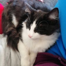 Profile image of Jannna81