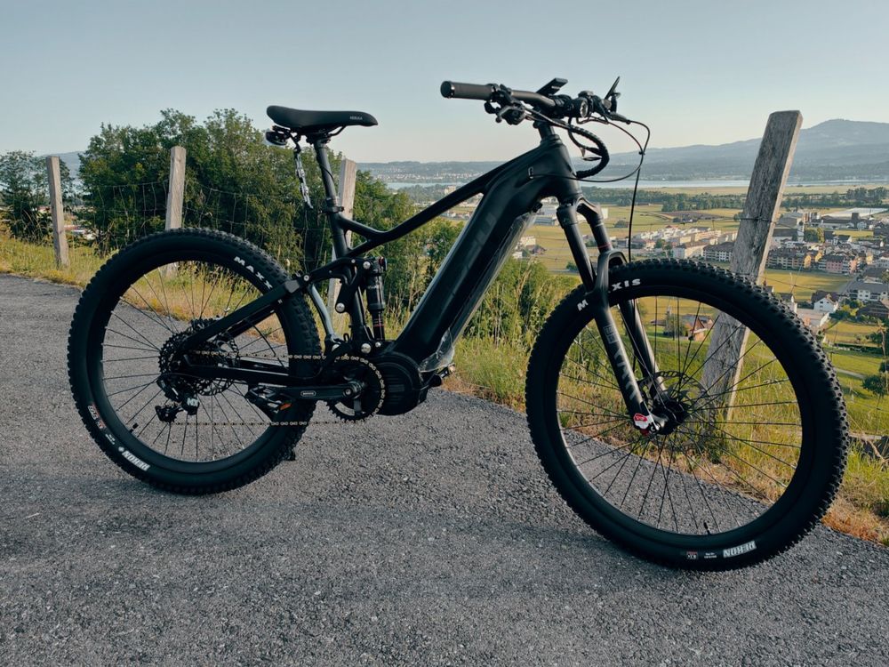 frey am1000 ebike