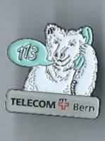 Telecom Bern PIN