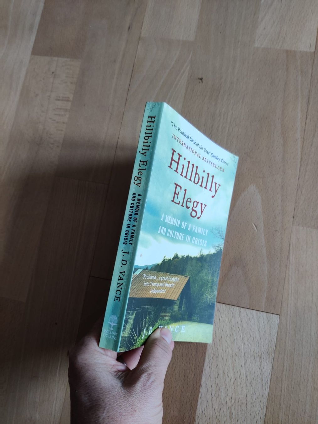 Livres: Spannendes Buch Hillbilly Elegy – D'occasion à Wil SG par Natundmatt 2