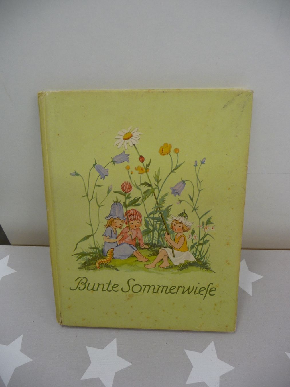 Libri: Buch: Bunte Sommerwiese Nora Scholly – Usato da Rafz venduto da Powacaddy