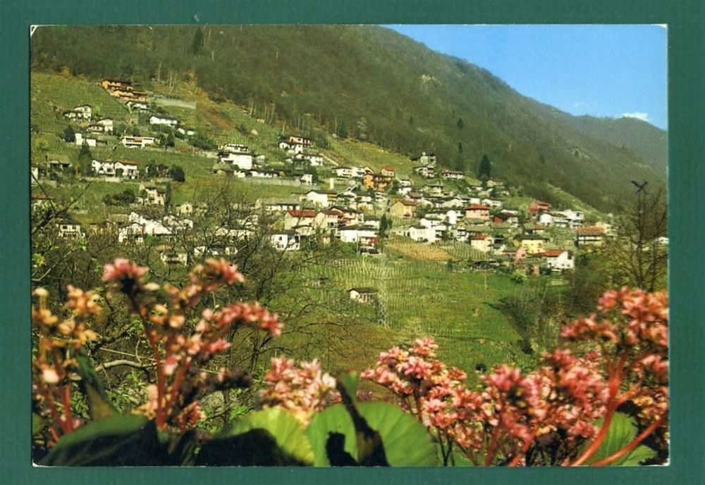 Gordemo bei Gordola Kaufen auf Ricardo