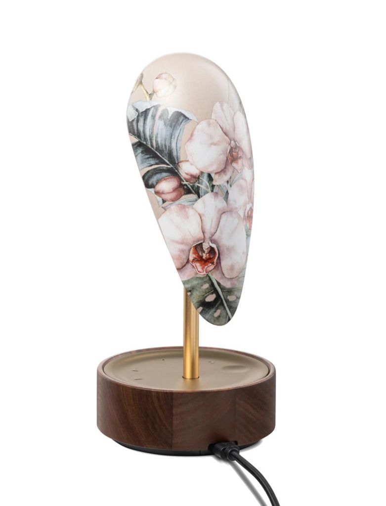 Casse acustiche: Daqiconcept Alarm Clock + Light Chirp Blooming Orchid – Nuovo e nell'imballaggio originale da Schmitten FR venduto da nat_passions 1