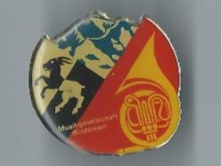 Musikgeselschaft Wilderswil PIN