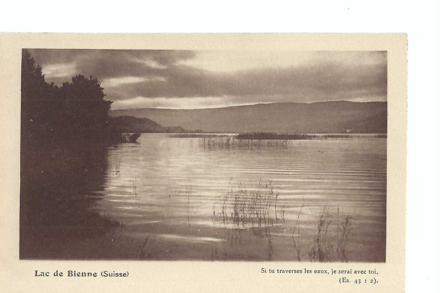 Cartes postales: Bielersee, Lac de Bienne: – D'occasion à Thun par 44wart