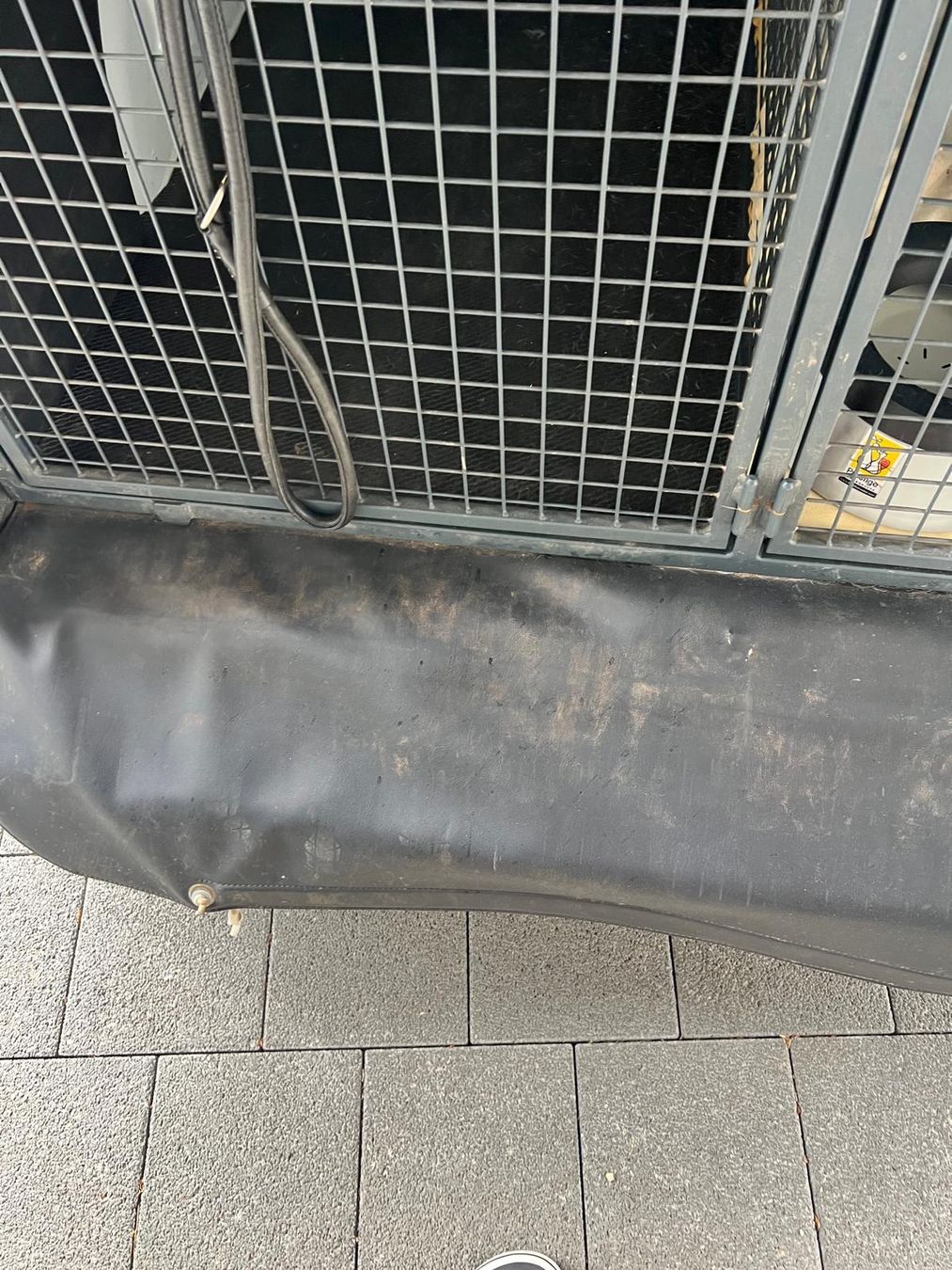 Gabbie, trasporto & Sicurezza: Hundegitter Hundebox Lieferwagen – Usato da Vallamand venduto da Germara 2