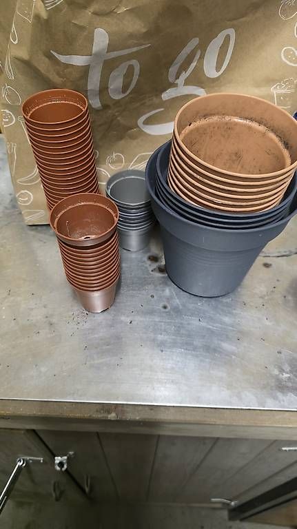 Pots de fleurs: Plastik Töpfe  – D'occasion à Niederweningen par ste_7rdz
