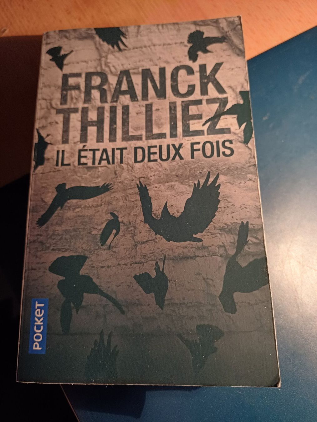 Bücher: Il était deux fois – Gebraucht aus Porrentruy von Piquetix