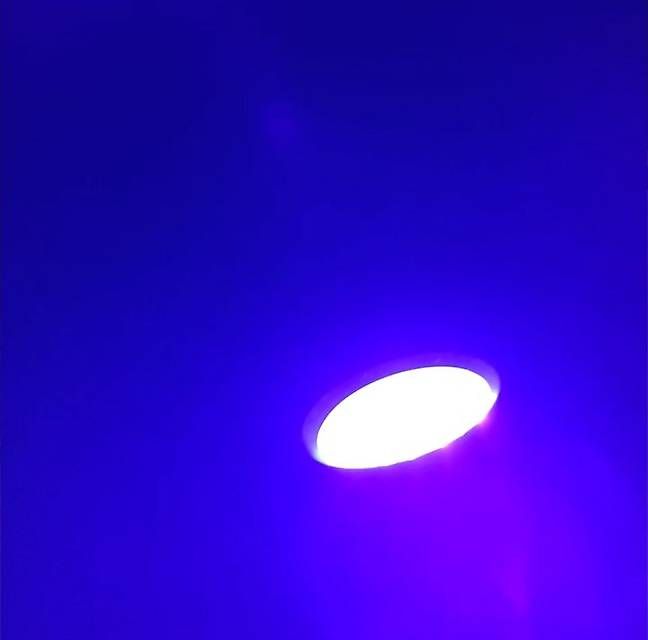 Lampade: Lampe de poche UV – Usato da Genève venduto da r00_6lq9 2