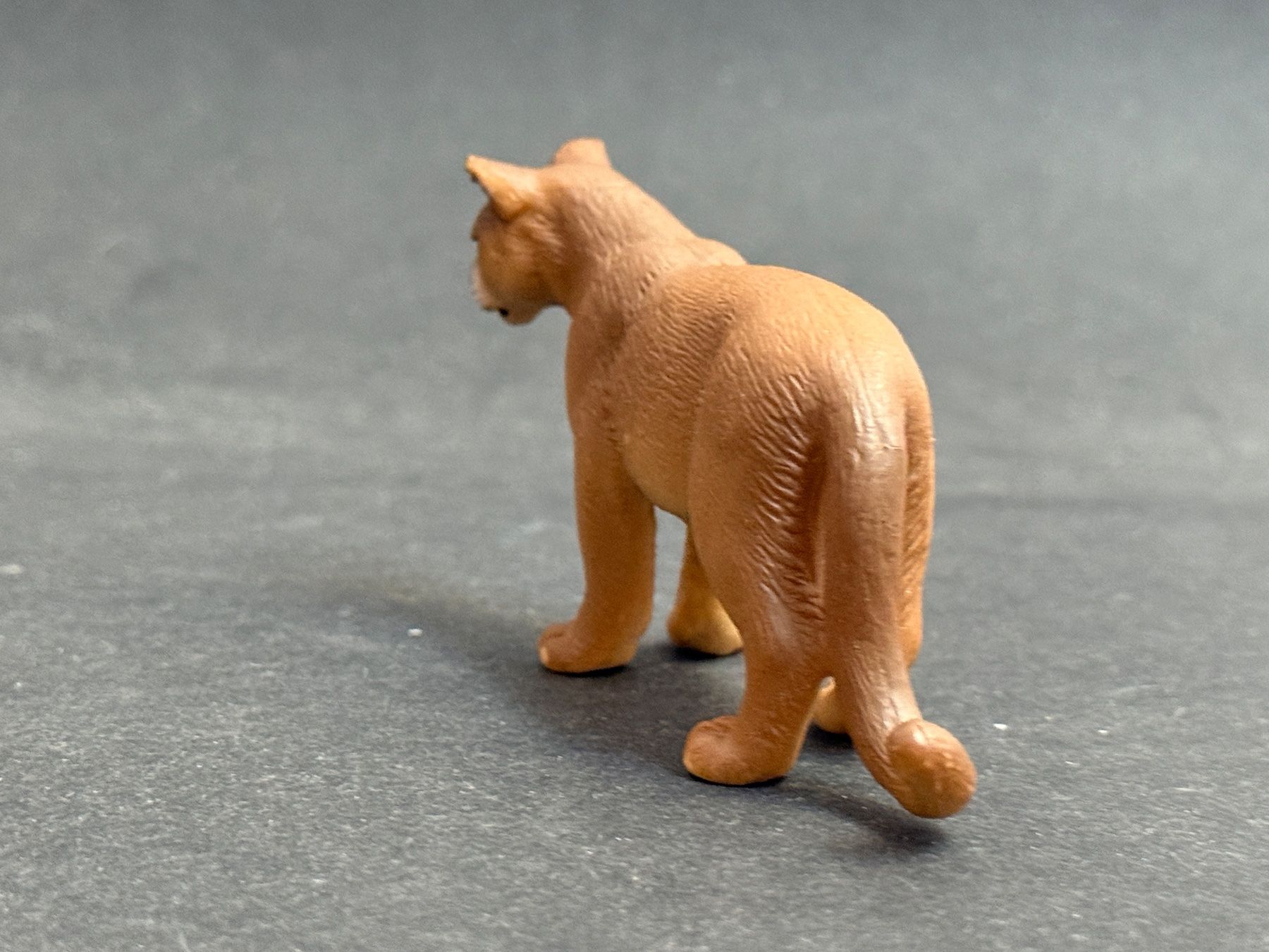 Schleich Figuren: Schleich Puma 14164 – Gebraucht aus Ennetbaden von mapa05 5