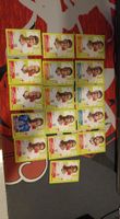 Panini Sammelkarten Fussball England 