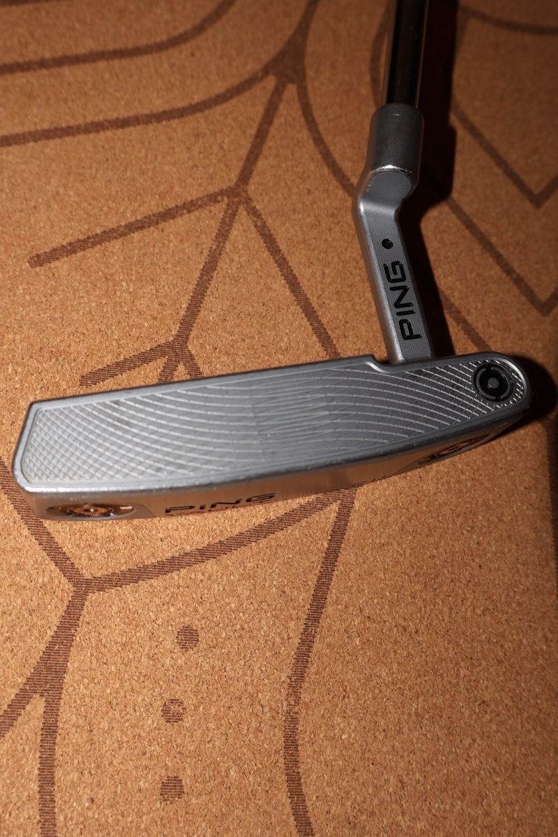 Ping Schläger & Sets: Premium Ping Dale Anser Putter – Neu (gemäss Beschreibung) aus Bern von Golf_Albert 4