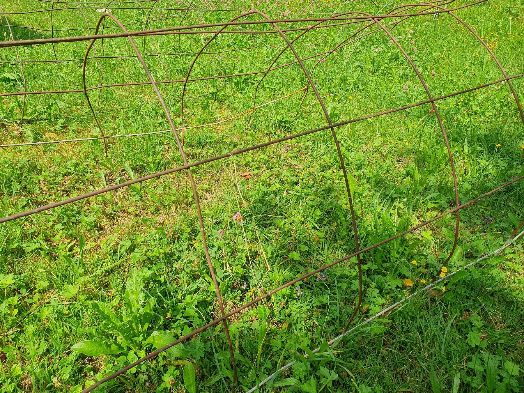 Casette da giardino & serre: gewölbte Frühbeethauben aus Draht / Metall – Usato da Wasen im Emmental venduto da Niederhauser-Mental 1