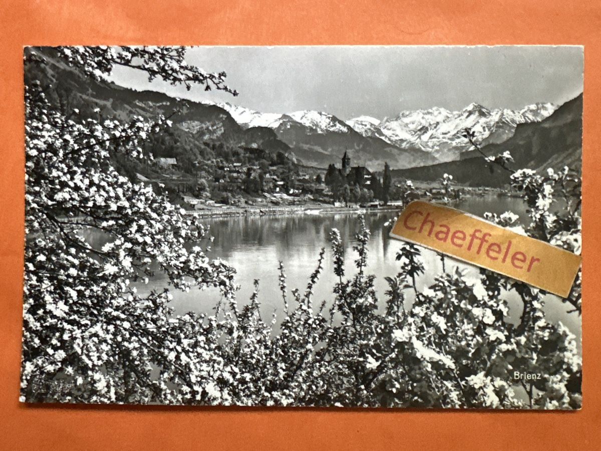 Ansichtskarten: 1959  Brienz mit Haslibergen – Gebraucht aus Zürich von Chaeffeler