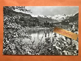 1959  Brienz mit Haslibergen