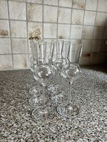 6 Grappa- / Schnapsgläser  wie neu