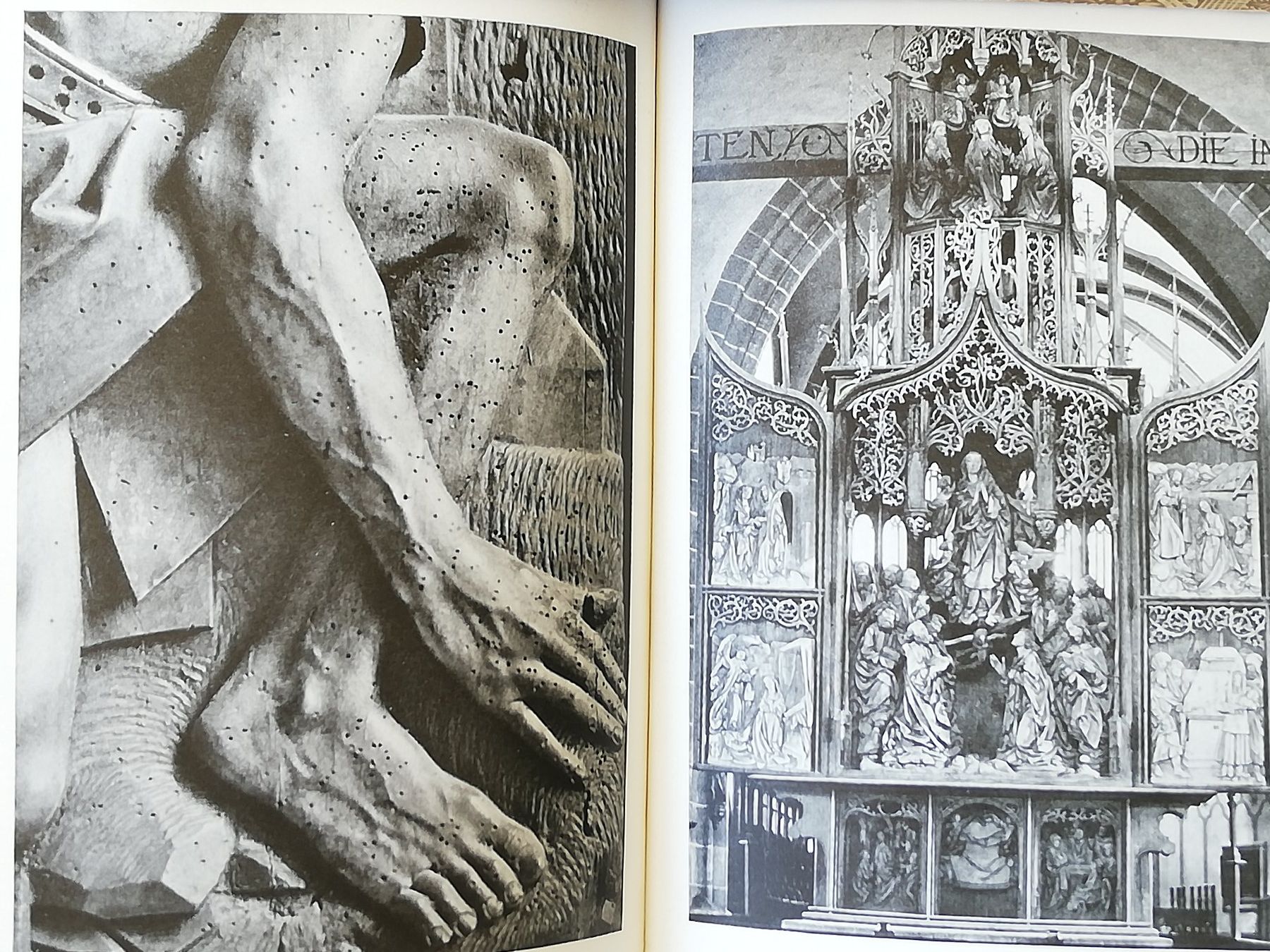 Libri: Tilman Riemenschneider - im Taubertal – Usato da Hildisrieden venduto da Malve 1