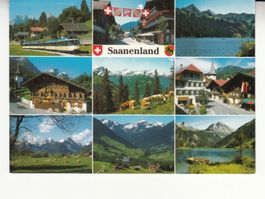 Saanenland 1995