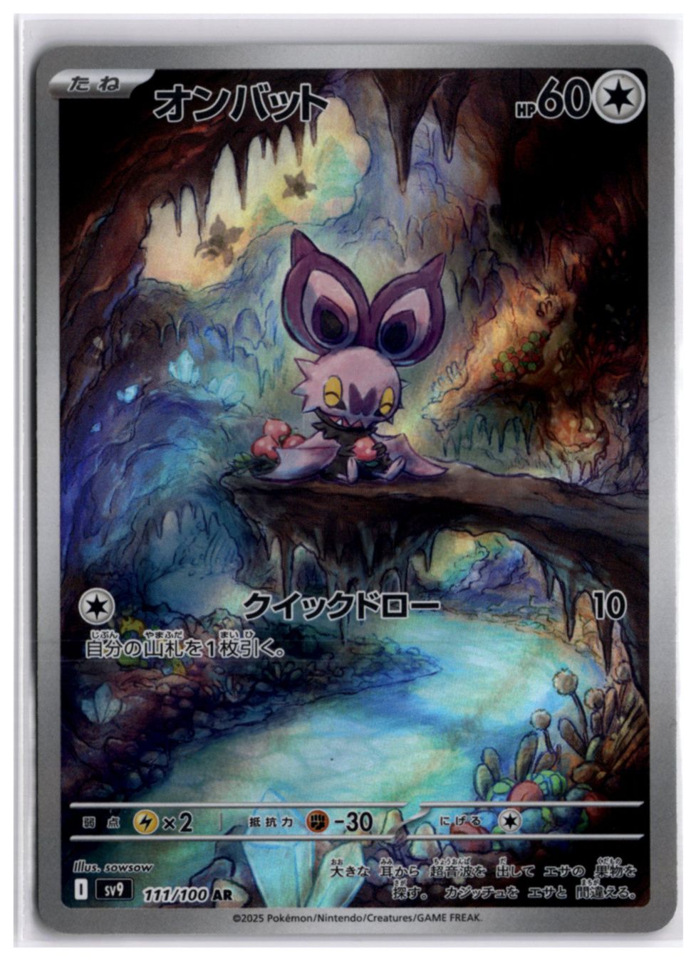 Pokémon Carte collezionabili: Noibat (sv9 111) AR – Nuovo (secondo la descrizione) da Andwil TG venduto da Artrarecards_Etter