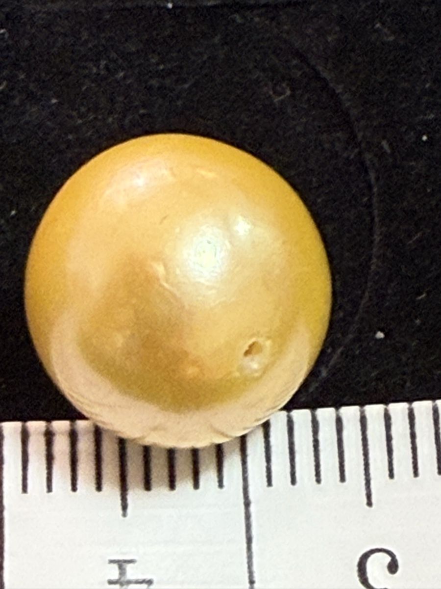 Perle (finte): Echt Südsee Perlen Goldener Farbe – Nuovo (secondo la descrizione) da Oberhof venduto da RealStone 4