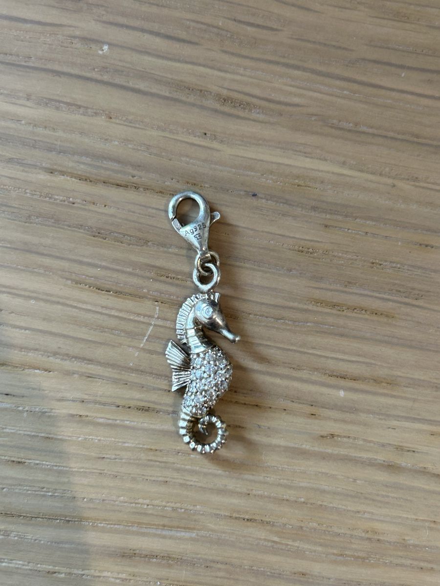 Thomas Sabo Anhänger: Thomas Sabo Anhänger/ Chram – Neu (gemäss Beschreibung) aus Guttannen von E1892 1